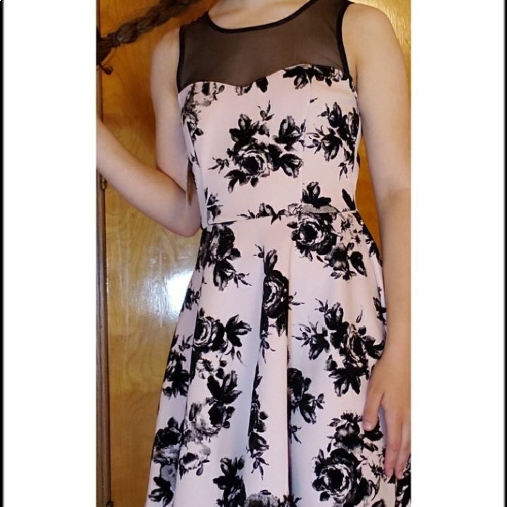 Light pink dress with black velvet floral accents